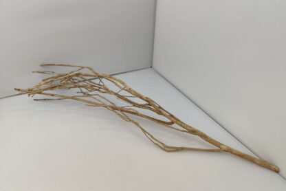 Talawa wood Teawood Aquarium root TB10 ca. 60 cm - Image 4