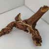 Aquarienwurzel Weinrebe WR1 – Bild 5