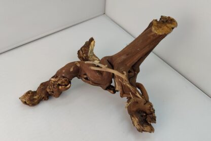 Aquarium root Vine WR2 - Image 5