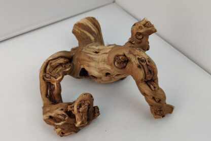 Aquarium root Vine WR3 - Image 7