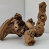 Aquarienwurzel Weinrebe WR3 – Bild 6