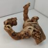 Aquarienwurzel Weinrebe WR3 – Bild 5