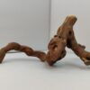 Aquarienwurzel Weinrebe WR4 – Bild 2