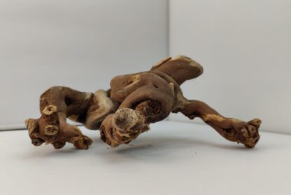 Aquarium root Vine WR5 - Image 3