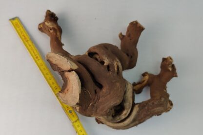 Aquarium root Vine WR5 - Image 2