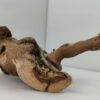 Aquarium root Vine WR5 - Image 7