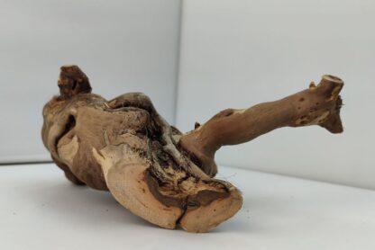 Aquarium root Vine WR5 - Image 7